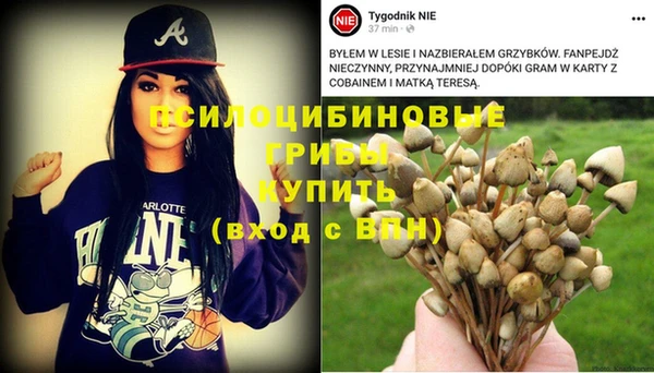 каннабис Володарск
