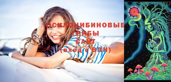 мдпв Волоколамск