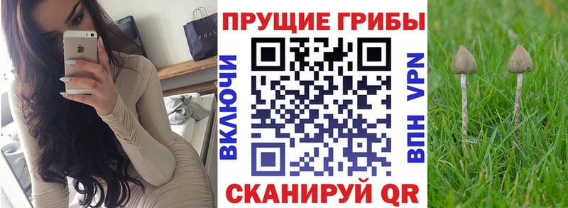 Галлюциногенные грибы GOLDEN TEACHER  Купить где  Верхнеуральск 
